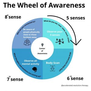 Dr. Dan Siegel's Wheel of Awareness Illustration
