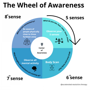 An Illustration of Dr. Dan Siegel's Wheel of Awareness 